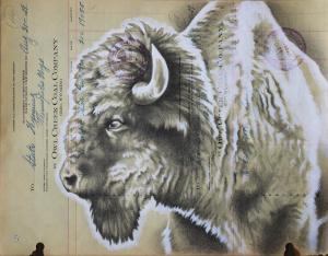 "Owl Creek Buffalo" 11in x 14in, Graphite & Acrylic on Antique Ledger Paper