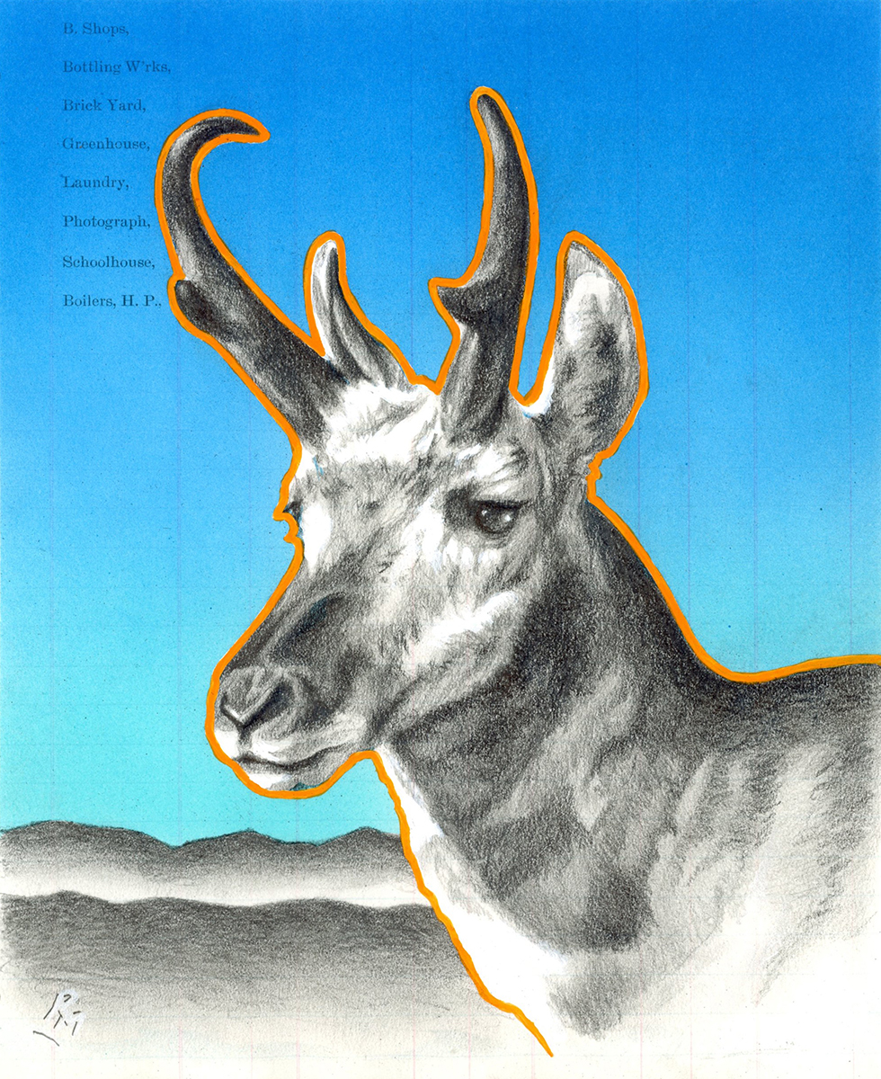 Speedgoat Stillness 7in x 8.5in, Airbrushed/Brushed Acrylic & Graphite on Antique 1897 Ledger Paper