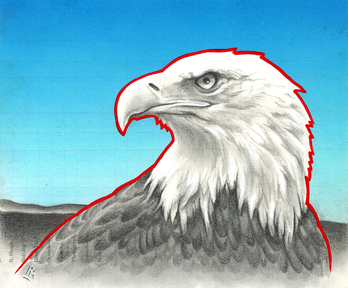 Heehteseeit - Bald Eagle, 7in x 8.5in, Airbrushed/Brushed Acrylic & Graphite on Antique 1897 Ledger Paper