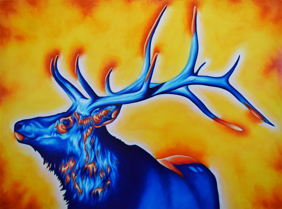 "Hiiwoxu-Elk" 30in x 40in,Airbrushed Acrylic & Oil on Linen