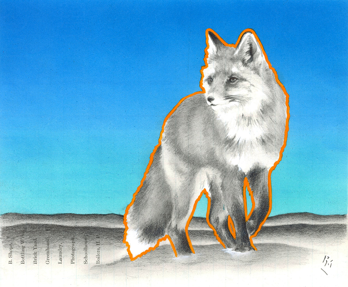 Still Fox, 7in x 8.5in, Airbrushed/Brushed Acrylic & Graphite on Antique 1897 Ledger Paper