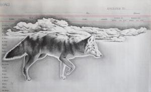 "Coyote Clouds" 7in x 17in,Acrylic & Graphite on Antique 1897 Ledger Page